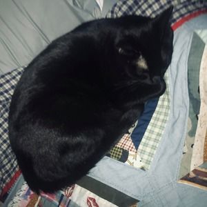 Meet your Posher, Jackson